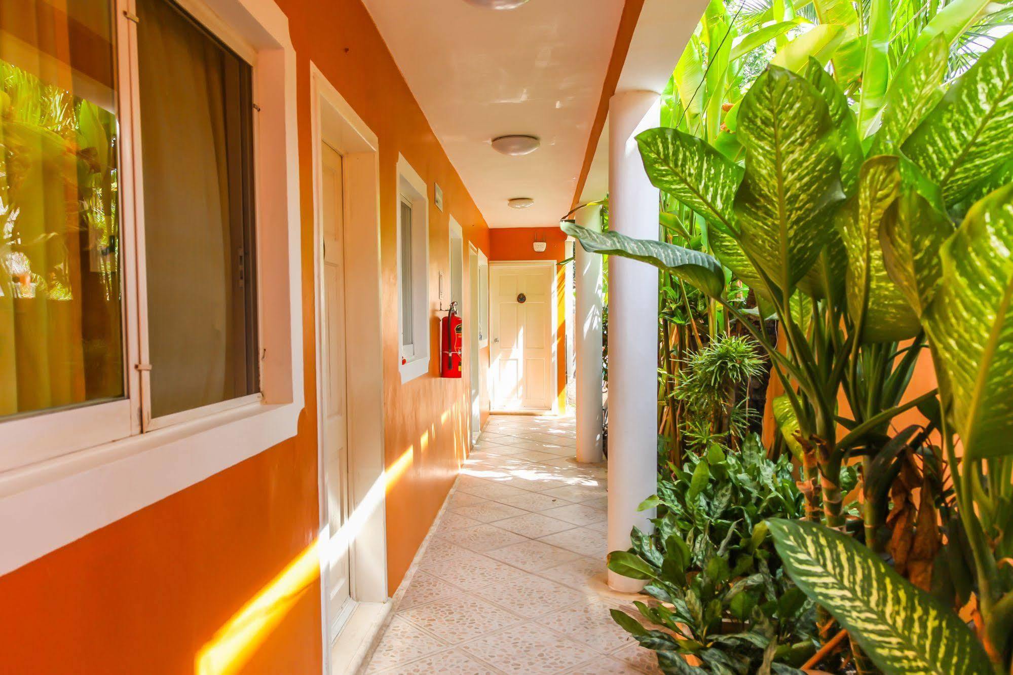 Hotel Residencia La Mariposa トゥルム エクステリア 写真